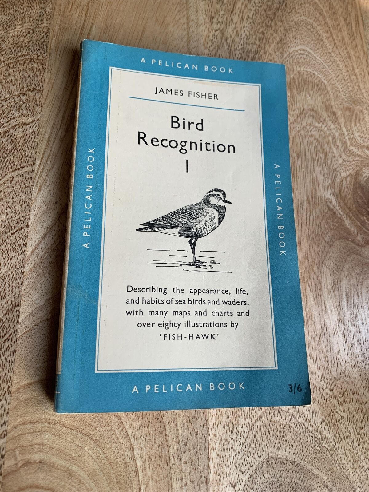 BIRD RECOGNITION 1 - James Fisher - Pelican Books 1954  A175 Ornithology Drawing