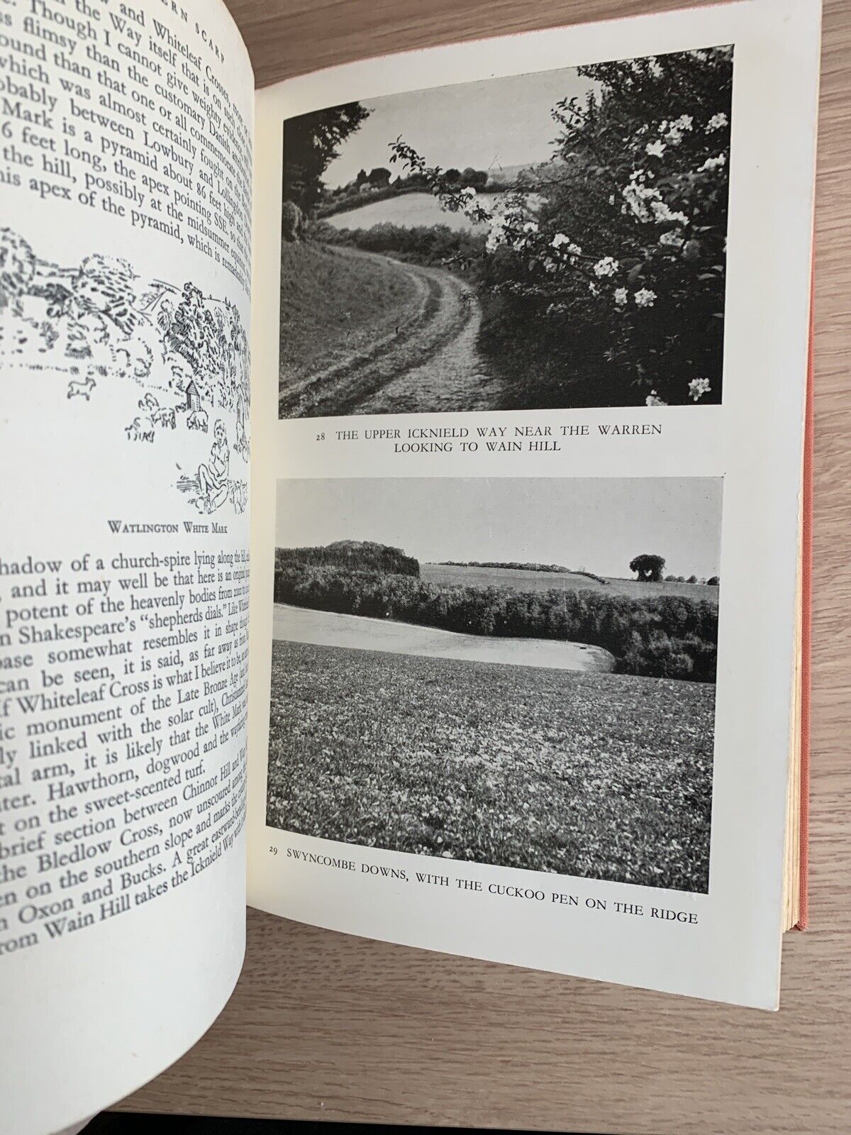 The Face Of Britain - Chiltern Country By HJ Massingham 1940 