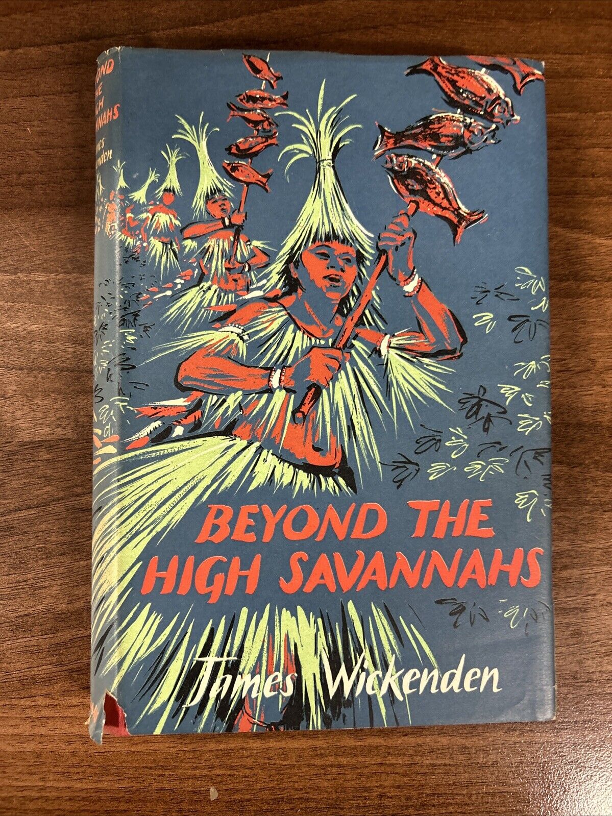 BEYOND THE HIGH SAVANNAHS James Wickenden Adventurers Club South America Travel