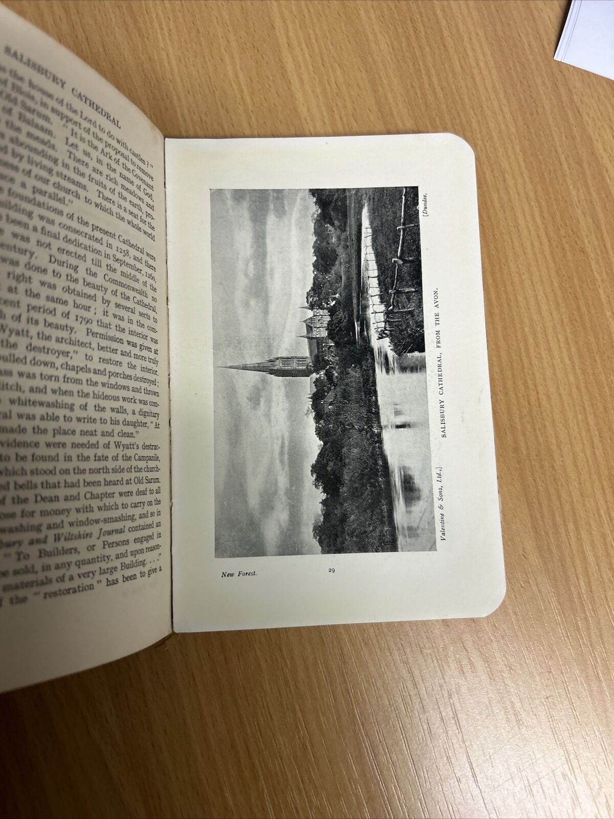 THE NEW FOREST 1930s? Ward Locks Red Guide Hardback Maps Photos Lyndhurst