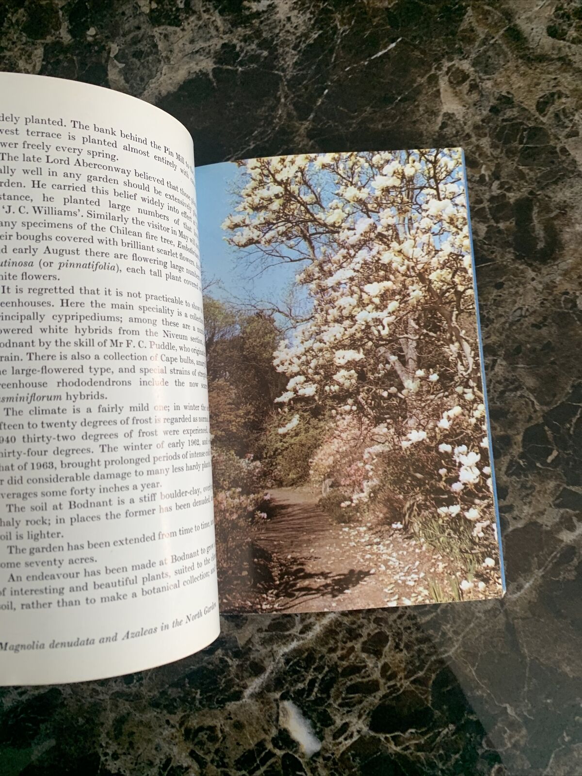 BODNANT The Garden At - Colour Booklet 1960s? Tal-Y-Cafn National Trust