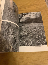 North Yorks Moors National Park HMSO Guide No 4 Maps Old Photos 1979 