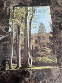 BODNANT The Garden At - Colour Booklet 1960s? Tal-Y-Cafn National Trust