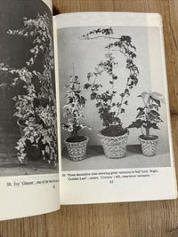 HOUSE PLANTS - Margaret E Jones - Penguin Handbook PH73  1962 First RHS