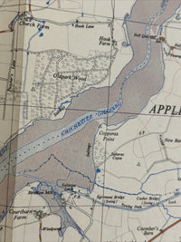 CHICHESTER Ordnance Survey Sheet SU80 1:25000 1949 Lavant National Grid